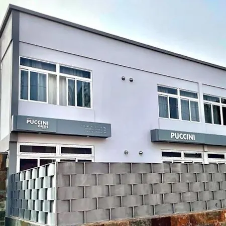 Puccini Oasis - Madame Butterfly