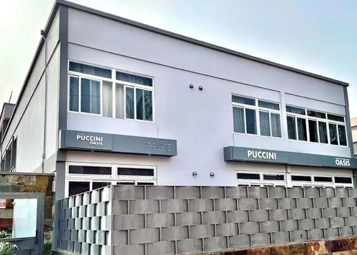 Puccini Oasis - Madame Butterfly